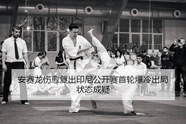 an-sai-long-shang-yu-fu-chu-yin-ni-gong-kai-sai-shou-lun-bao-leng-chu-ju-zhuang-tai-cheng-yi-2-879.jpg